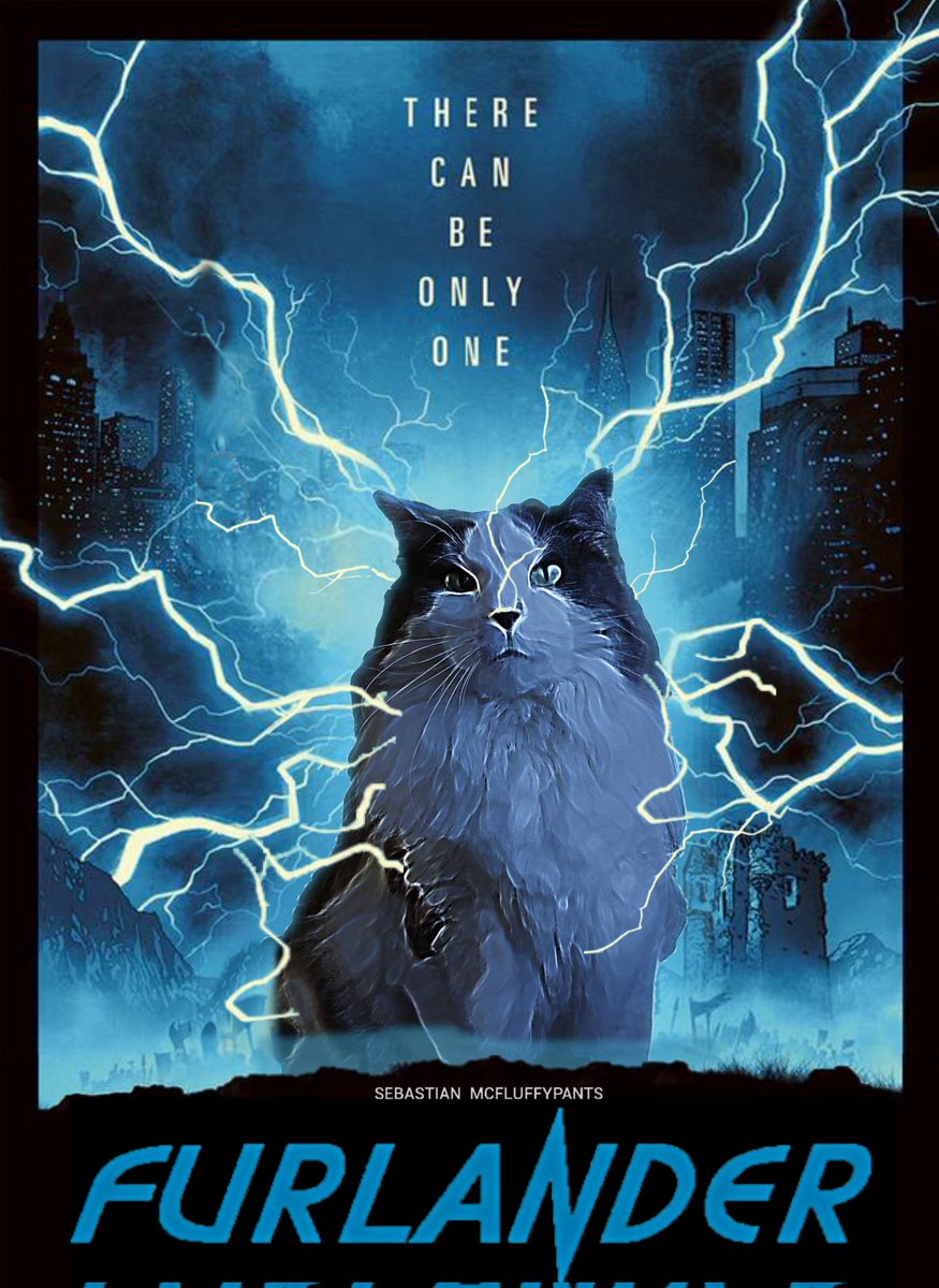 Timothy&Sebastian tweet media