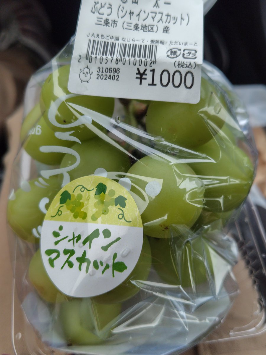 ぶどう様(⁠ノ⁠◕⁠ヮ⁠◕⁠)⁠ノ⁠*⁠.⁠✧ 串井 on X