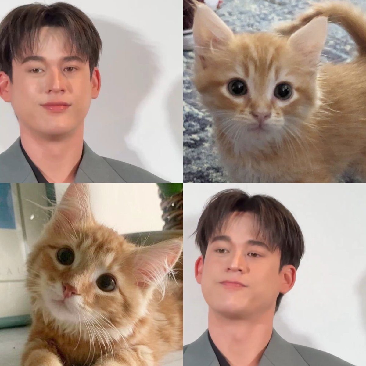 🫳🏻always cat 
รักน้องแมวว🐈🩷

ᓚ₍⑅^..^₎ #GawinCaskey ♡