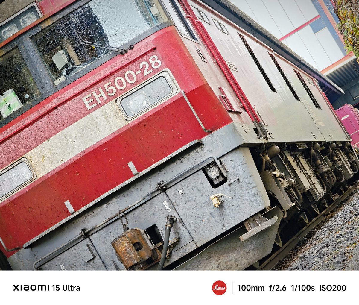 たまごん たまごん (@onsen_tamagon) / Posts / X