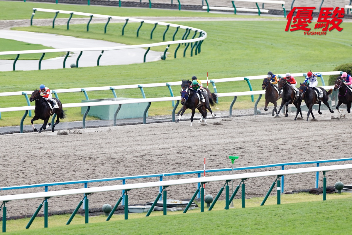 優駿』編集部 (@YUSHUN_Magazine) / Posts / X