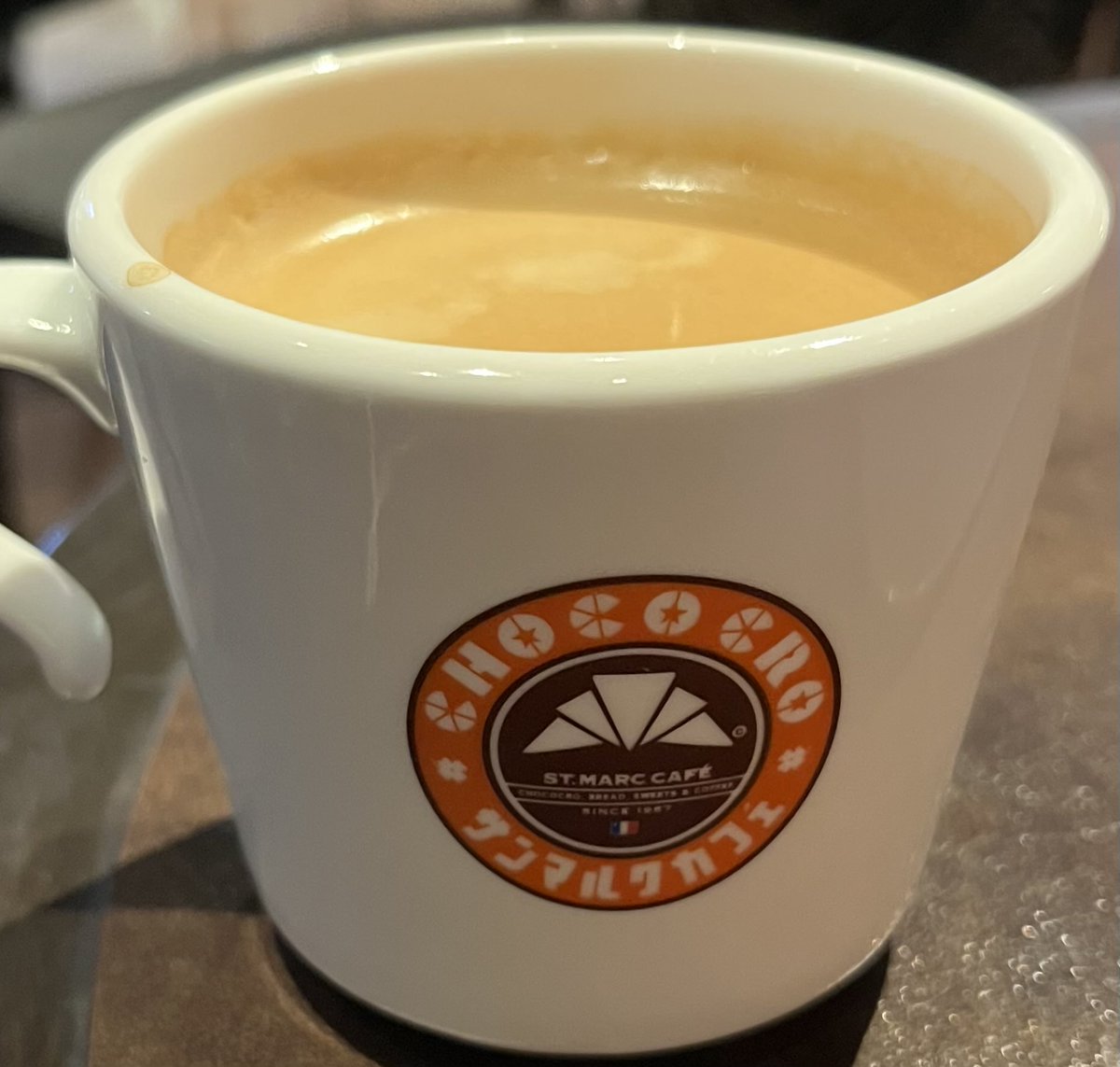 まめまるページ mame kurogouchi(マメクロゴウチ) グラフィックセカンドスキン