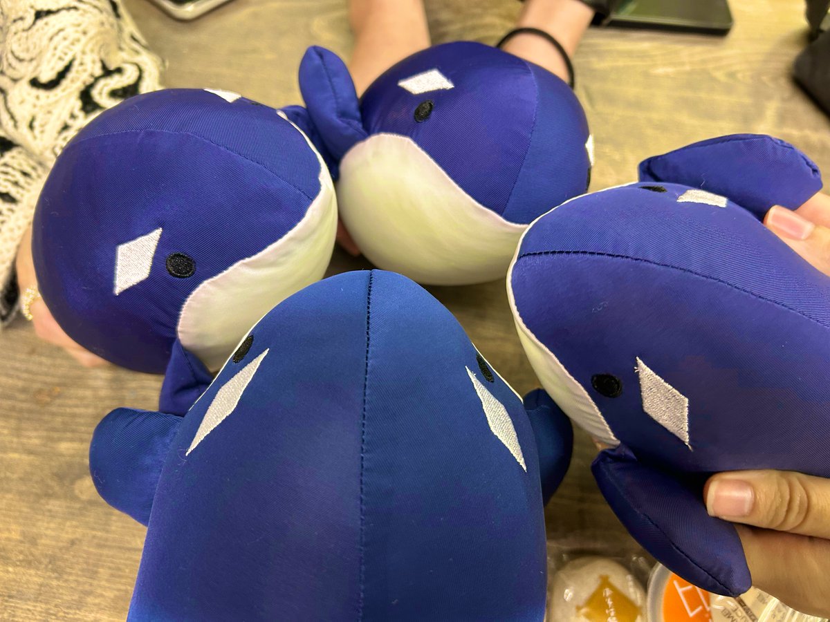 Orca Rhapsodia (@orhapsodia) on Twitter photo 