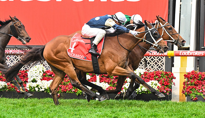 perpidextrous's tweet image. Incredible win by Via Sistina, Jmac &amp;amp; Waller yesterday, but can we talk about how white hot Mark Zahra is at the moment?

He was centimetres away from winning Buckaroo a Cox Plate.

Buckaroo! 😅