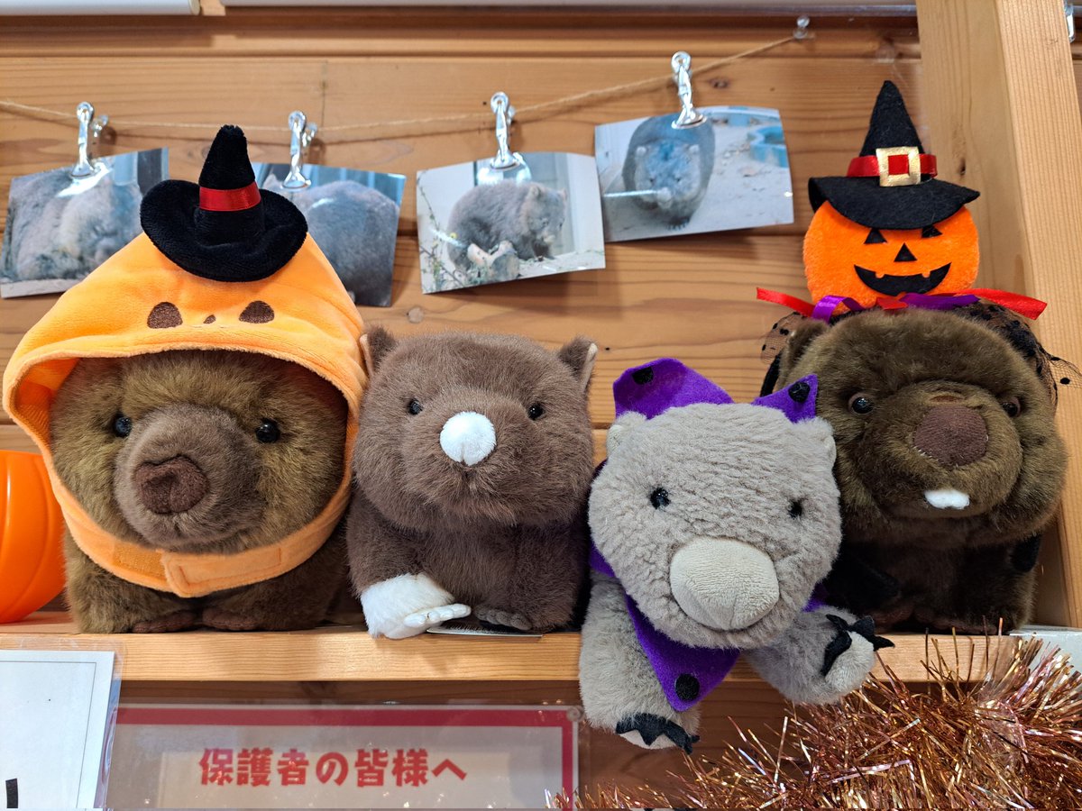 断捨離ウォンバ TB-5411 ダストボックス 7型 おもり付(袋押えワッパ付) 1個 小原産業