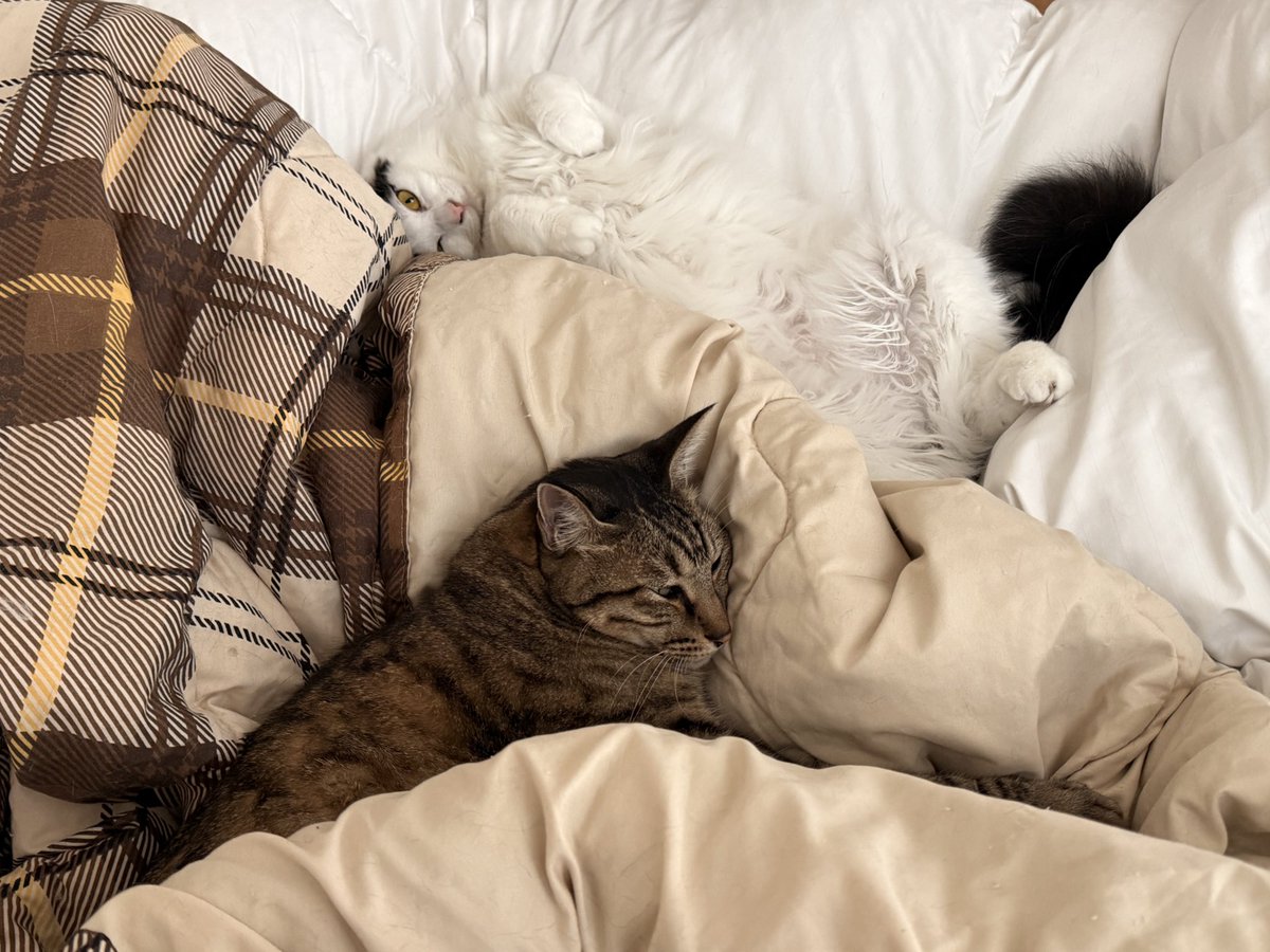 20siesta's tweet photo. https://t.co/hwcVKzVxww