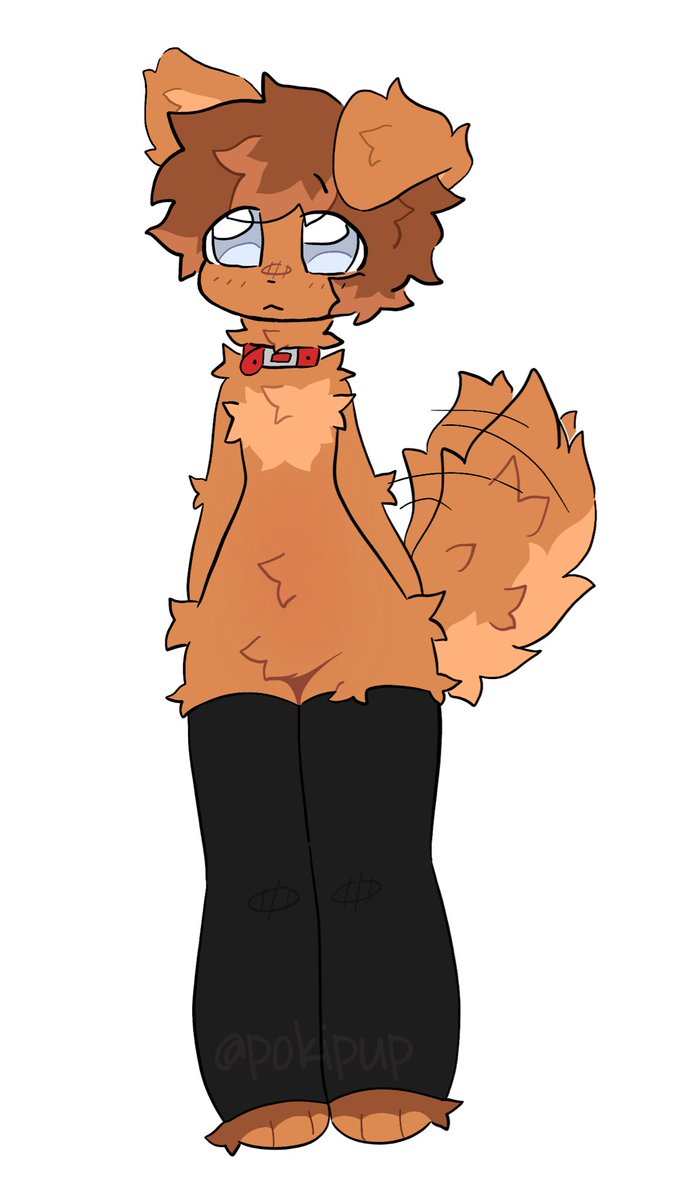 pokipup's tweet photo. blind pup!!! his names caramel :3c #furryart #furryartist #furryoc https://t.co/mo70Mpis8H