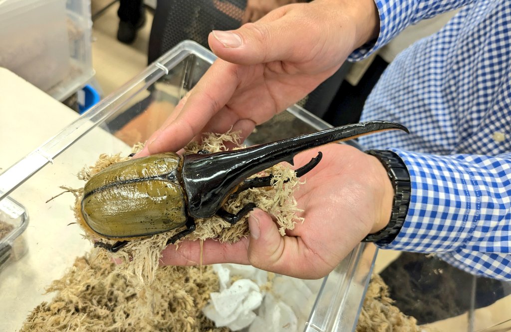 ロックンロール ワカマツサトシ ロックンロール／ワカマツサトシ : 竜 to 蛇 be