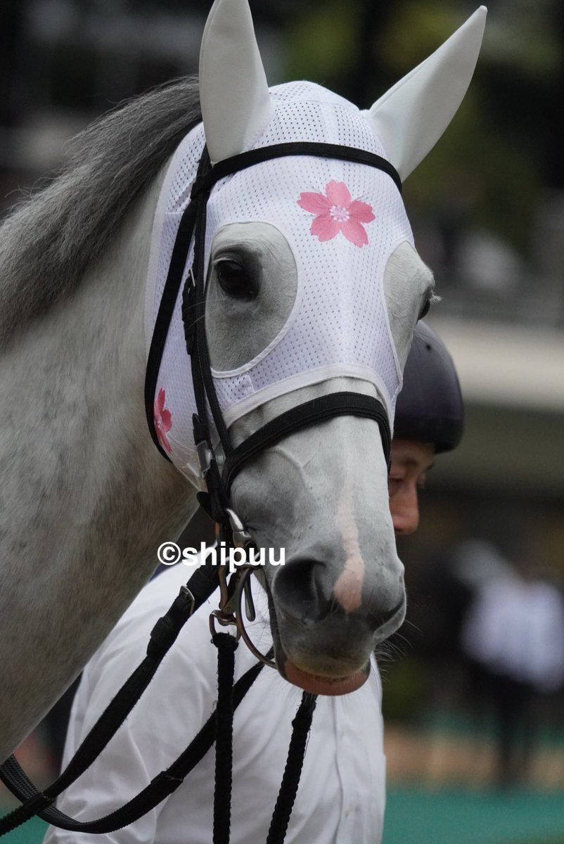 wolf359様 リクエスト 2点 まとめ商品 しっぷ-ˏˋ 🖤🐴 ˎˊ- on X