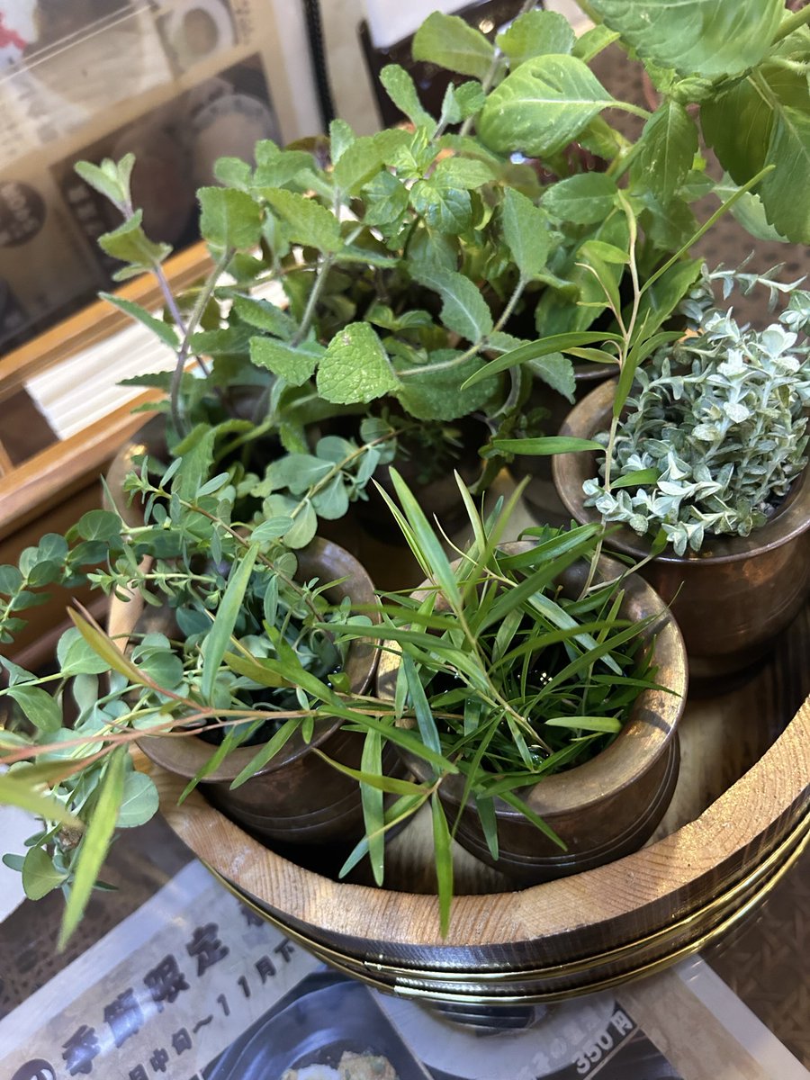 ゆうさん
レジェン道の皆さん😊

そして初体験の皆様
ありがとうございます🤗

次回11月5日水曜日
#水曜サ活アウフグースイベント🔥も

よろしくお願い申し上げます🥰

#レジェン道船橋道場　
#香りの立ち方が普通ではないサウナ室　
#終わった後の宴会が楽しい店