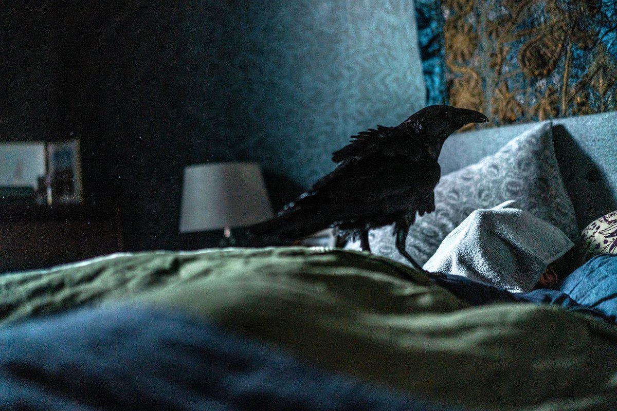 🌈Ayatay (@ayatay221) on Twitter photo 