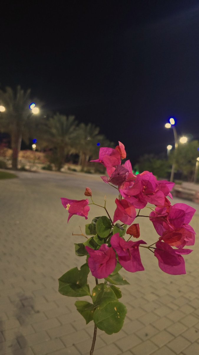 "وعُدتُ مِن المعارِكُ لستُ أدري 
عَلامَ اضعت عُمرِي في النزالِ"