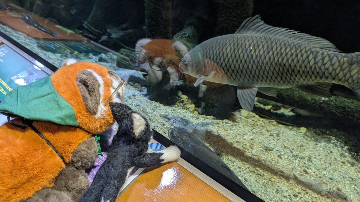 Ohagi（感謝） おはぎ (@0hagi0619) / Posts / X