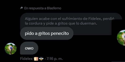 Fidelex 🍞🐝 tweet media