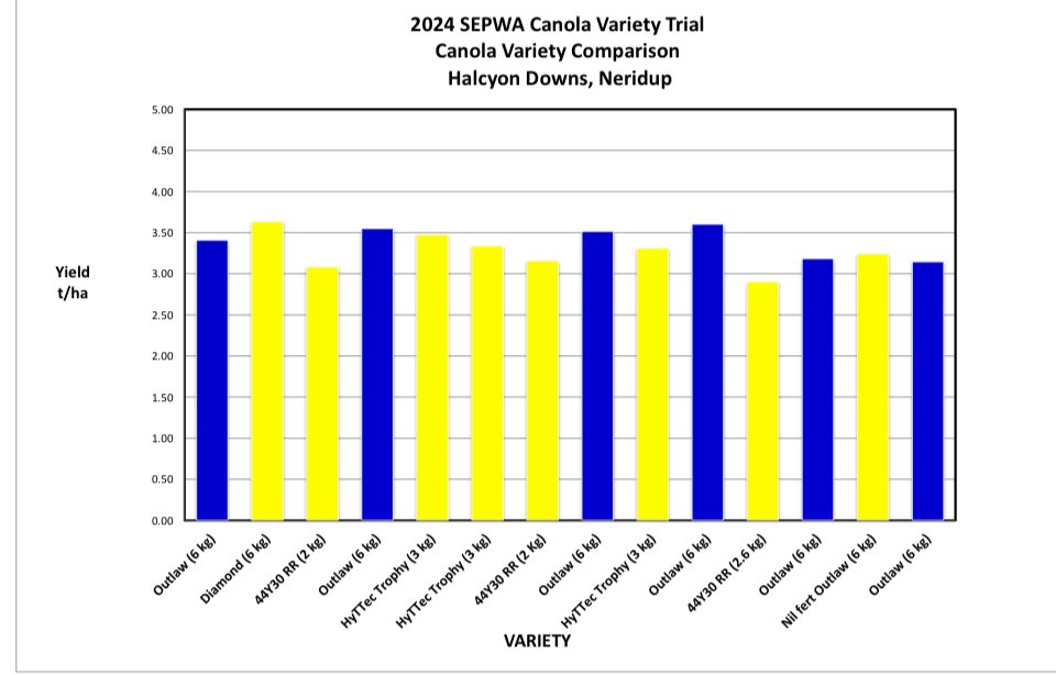 iMc Fels 📲🌾 tweet media