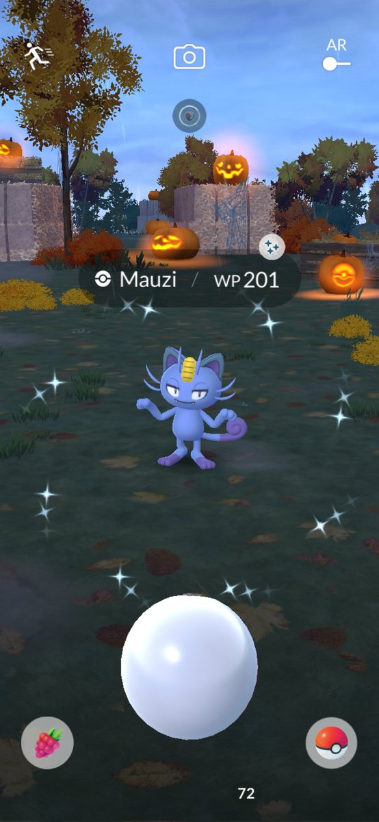 BadBoy 18999 40x11(50) tweet media