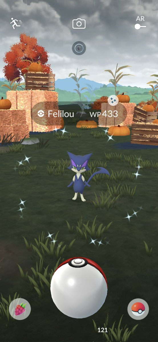 BadBoy 18999 40x11(50) tweet media