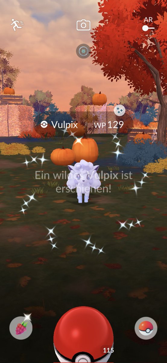 Hätten wir das auch mal erledigt 😊
#PokemonGo