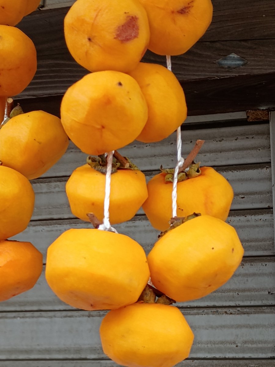 乾燥途中の干し柿みたい