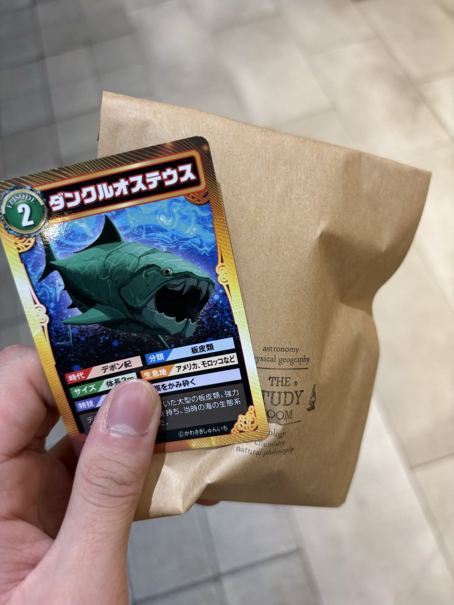 FLORA & FAUNA 自然のデザイン FLORA & FAUNA 自然のデザイン