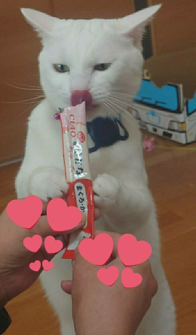 はるるん (@RNPrJ9xfX3PSoaA) / Posts / X