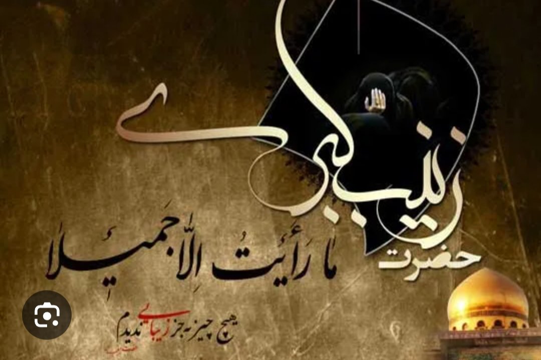 جمله مارأیت الاجمیلا 
حضرت زینب (س) می‌خواهد بگوید که شهادت در راه خدابرای ما افتخارونشانه عظمت و بزرگی است،دادن جان درراه خدازیباست،اگر چه غم از دست دادن عزیزان سنگین است‌اما،چون برای خدا است و شهدا «عِنْدَ رَبِّهِمْ یُرْزَقُونَ [آل‌عمران]» هستند،ناراحت نیستیم
#Zaynab
#زینب_کبری