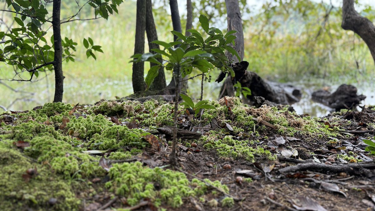 Eisuke Yanagisawa (@eisukeyanagisa1) on Twitter photo 