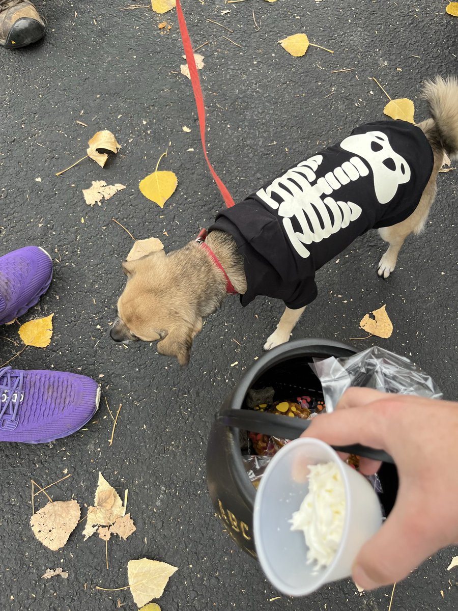 Robin Guymon (@robinsguymon) on Twitter photo 