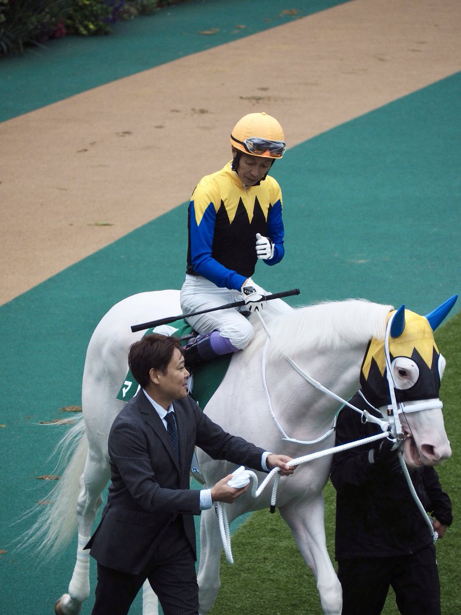 yoshi_osigee's tweet photo. ちょうどお顔が切れてしまってごめんねマルガ(^^;;
今のデジカメで動きがある撮影は初めてで、なんかもう大変だったのです。
ずっと雨だったし(言い訳)。
尻尾のポンポンがかわいいね。

マルガと豊さん。
また撮れると良いな。
#武豊 https://t.co/l6kQDdslXq