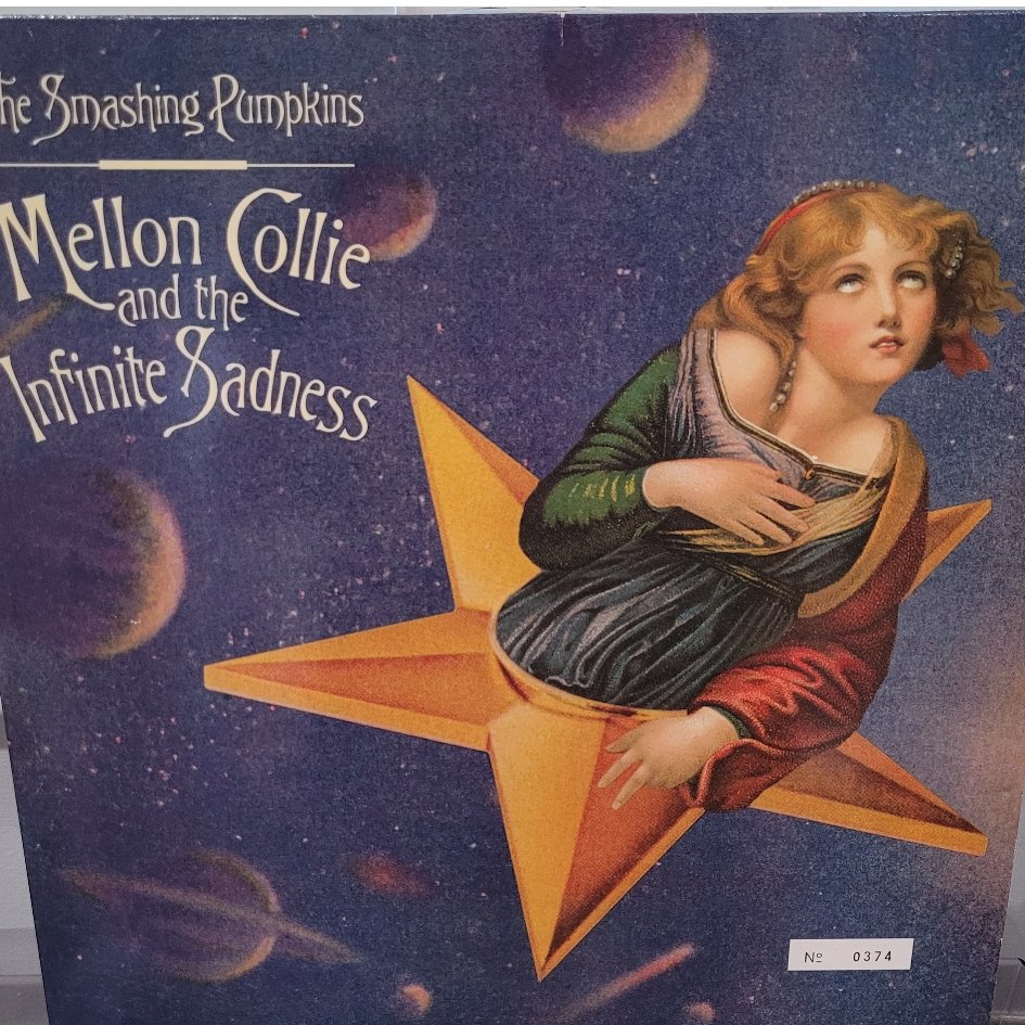 robertd3 tweet media