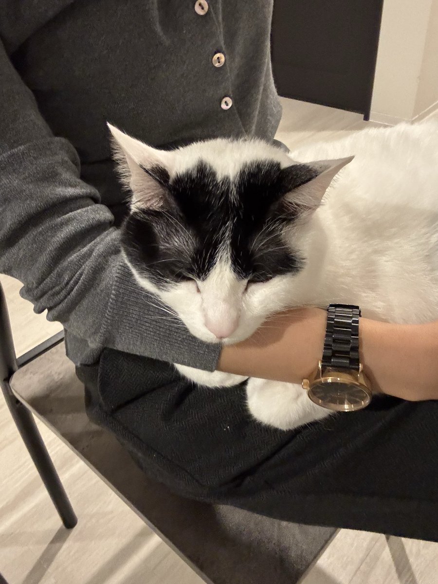 mam💜 (@mam_11_11) / Posts / X