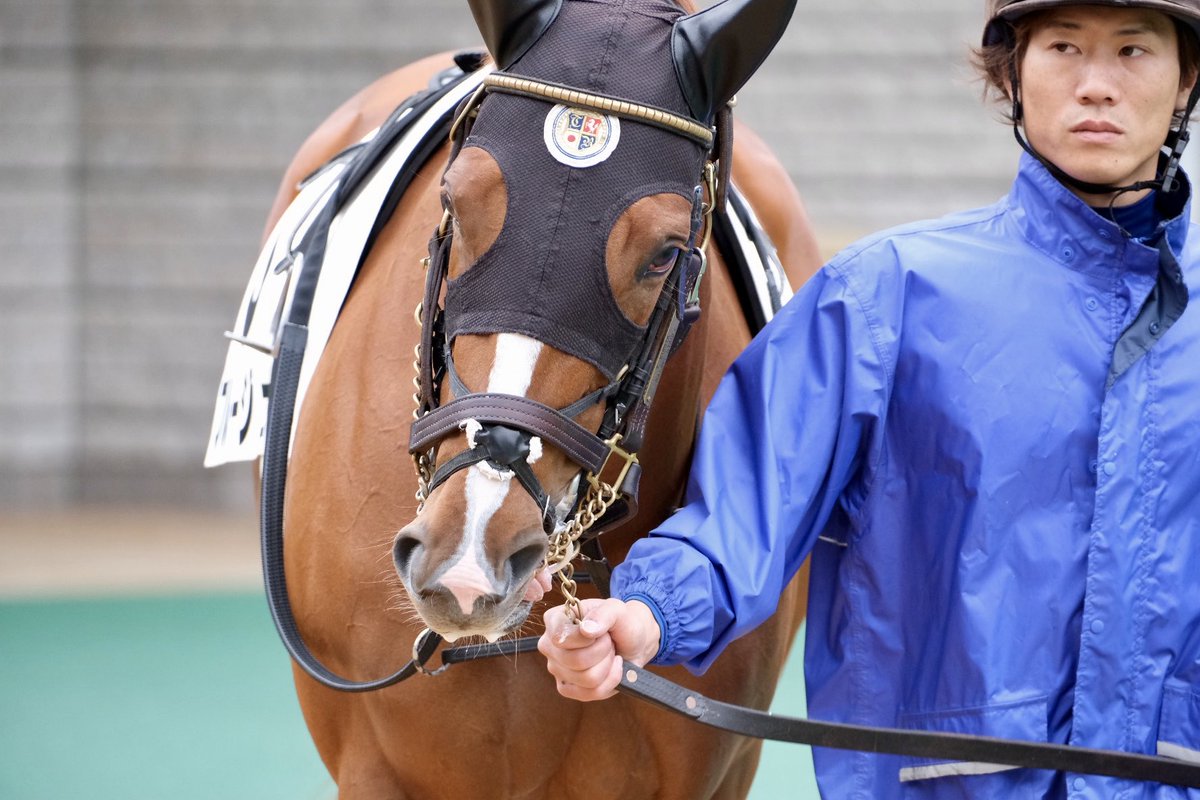 This is by Saito Naoki】ピカチュウ ともだちをさがす Scan 12