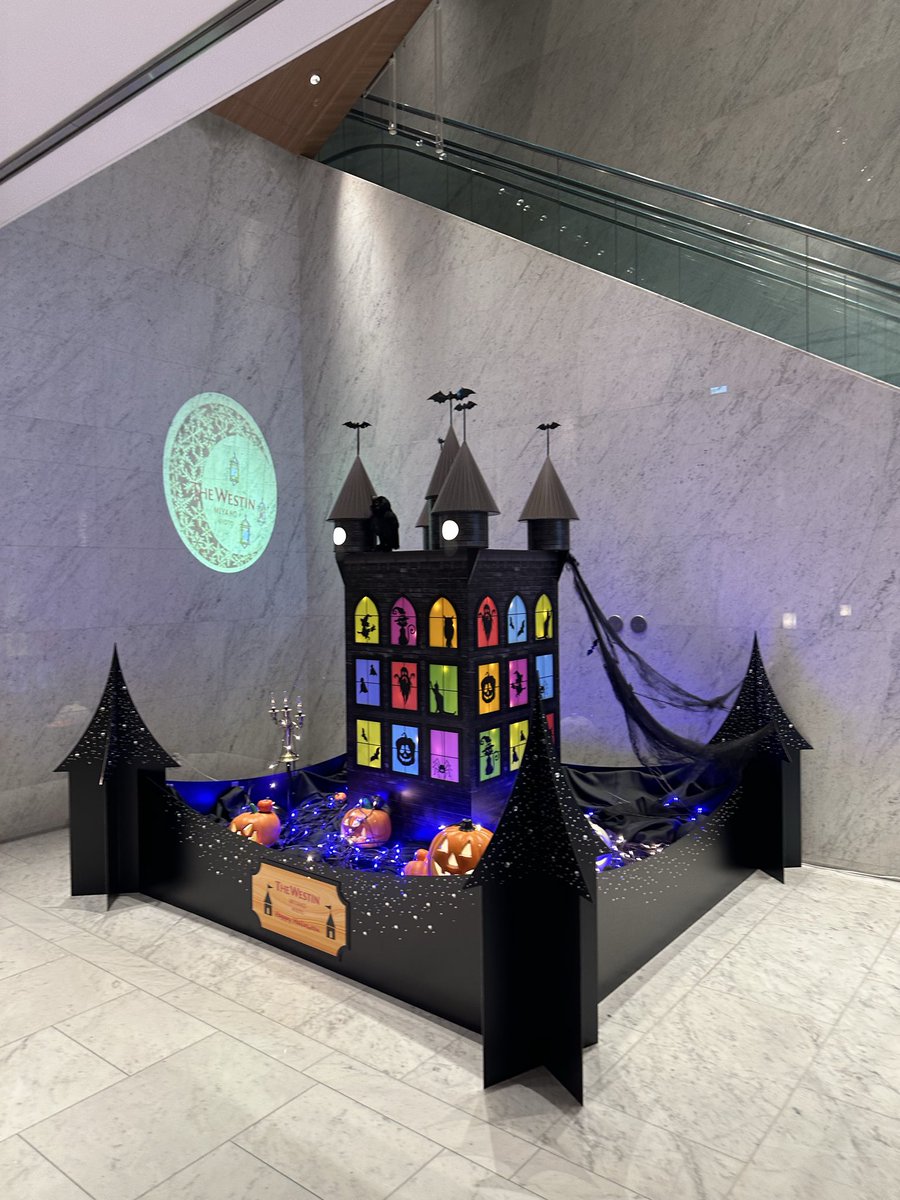 京都猫専務 on X