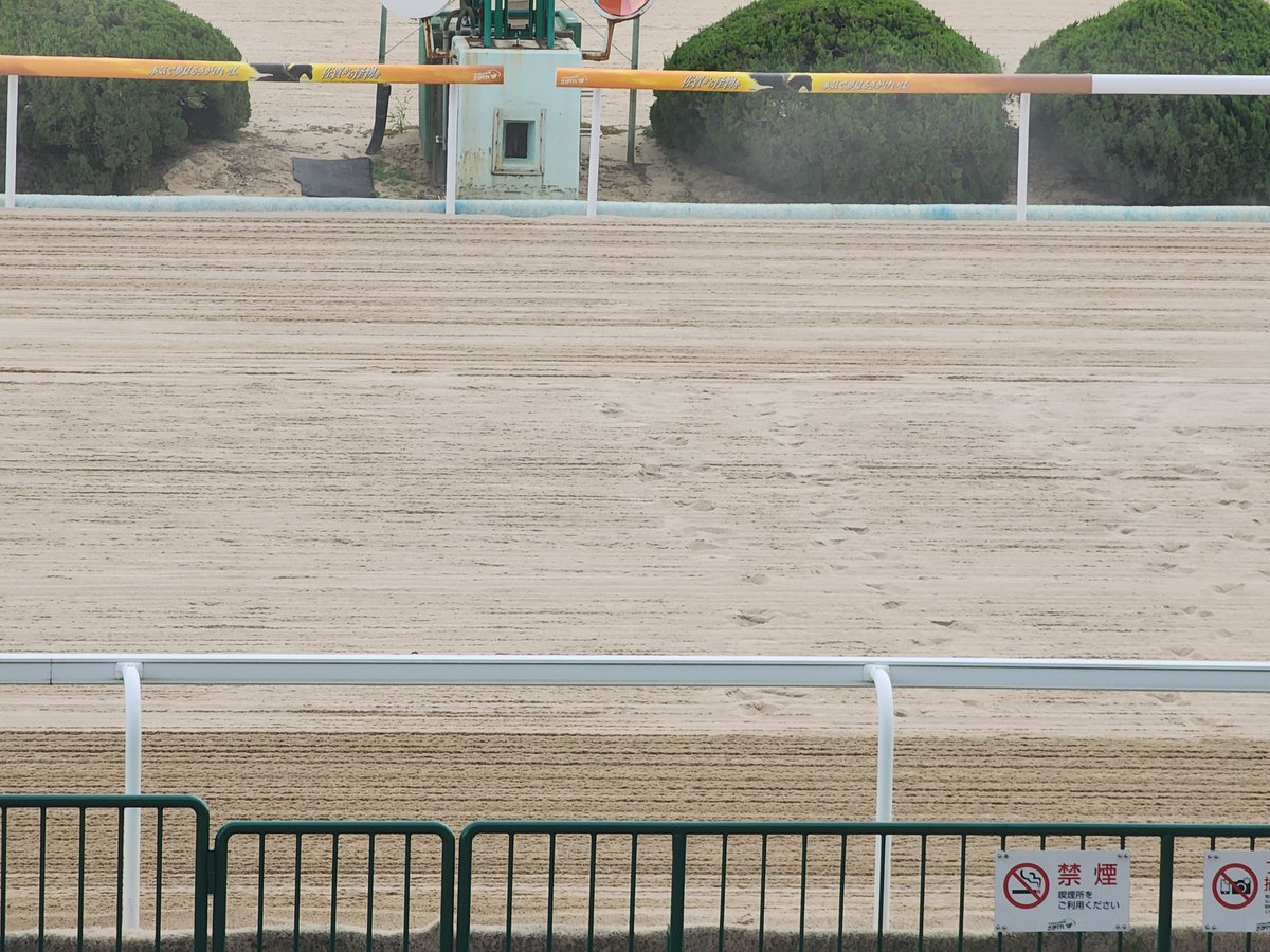かなり前の競馬の景品の置物です。多分。 かなり前の競馬の景品の置物です。多分。 かなり前の競馬の景品