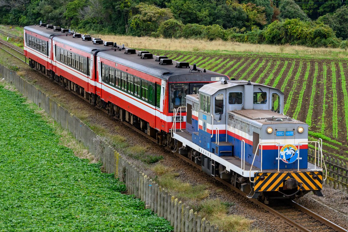 はくたかページ はくたか (@kakuzato189) / Posts / X