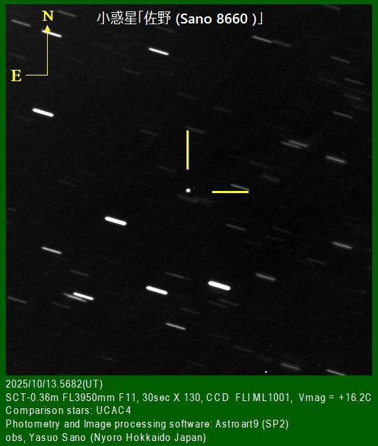 綴星 ページ Amazon.co.jp: DESIGNPHIL ミドリ(MIDORI) 日記 1日1ページ 洋書