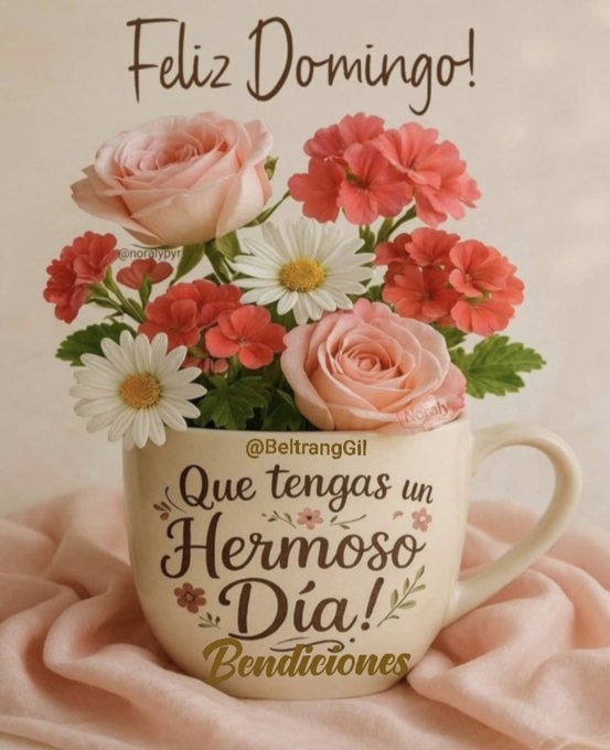 White ceramic mug placed on a soft pink cloth surface, containing a vibrant bouquet of fresh flowers including several pink roses with layered petals, clusters of red carnations, and white daisies with yellow centers, surrounded by green leaves and stems. Gold-colored text overlay reads Feliz Domingo at the top. Below the mug, scripted text in brown reads @BeltrangGil Que tengas un Hermoso Dia with floral accents. At the bottom, golden text states Bendiciones. The overall arrangement is centered and balanced.