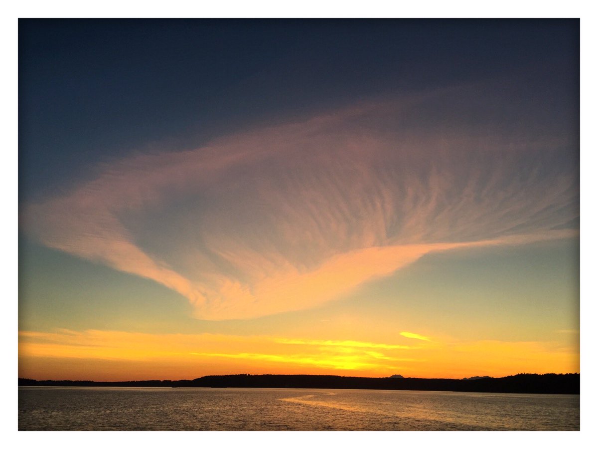 milesaway25's tweet image. #silence #milesaway #milesaway25