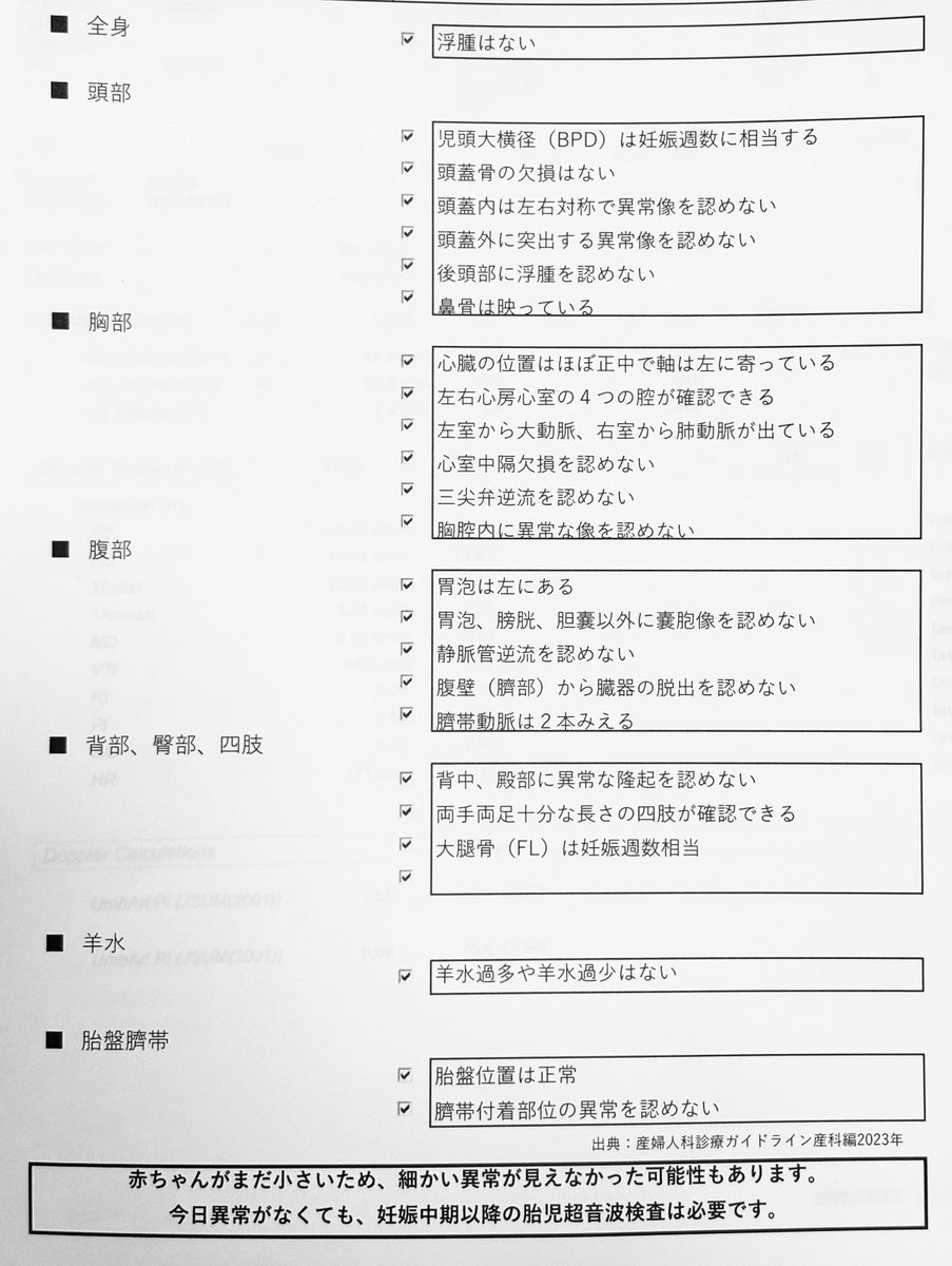 初期の胎児スクリーニングレポ✍️

12wで小さいし
エコーでざっくり異常ないか見るだけだと思ってたけど

形、大きさだけじゃなくて
血液の流れとか臍の緒とか
ちっさな指の数まで詳しく診てもらえた。

時間は30分くらい
4dの写真とレポートもらえました！
チェック内容はこんな感じでした✅🫡