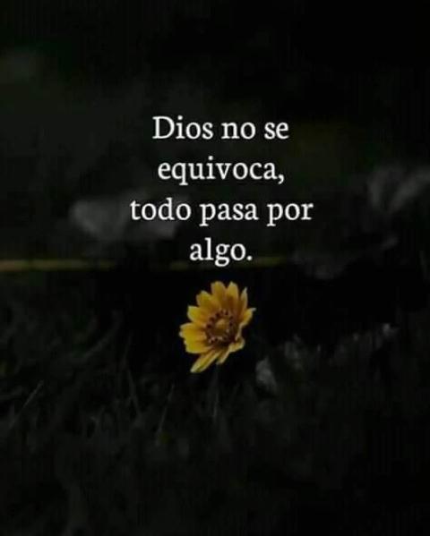 DIOS Une a Sus Hijos tweet media