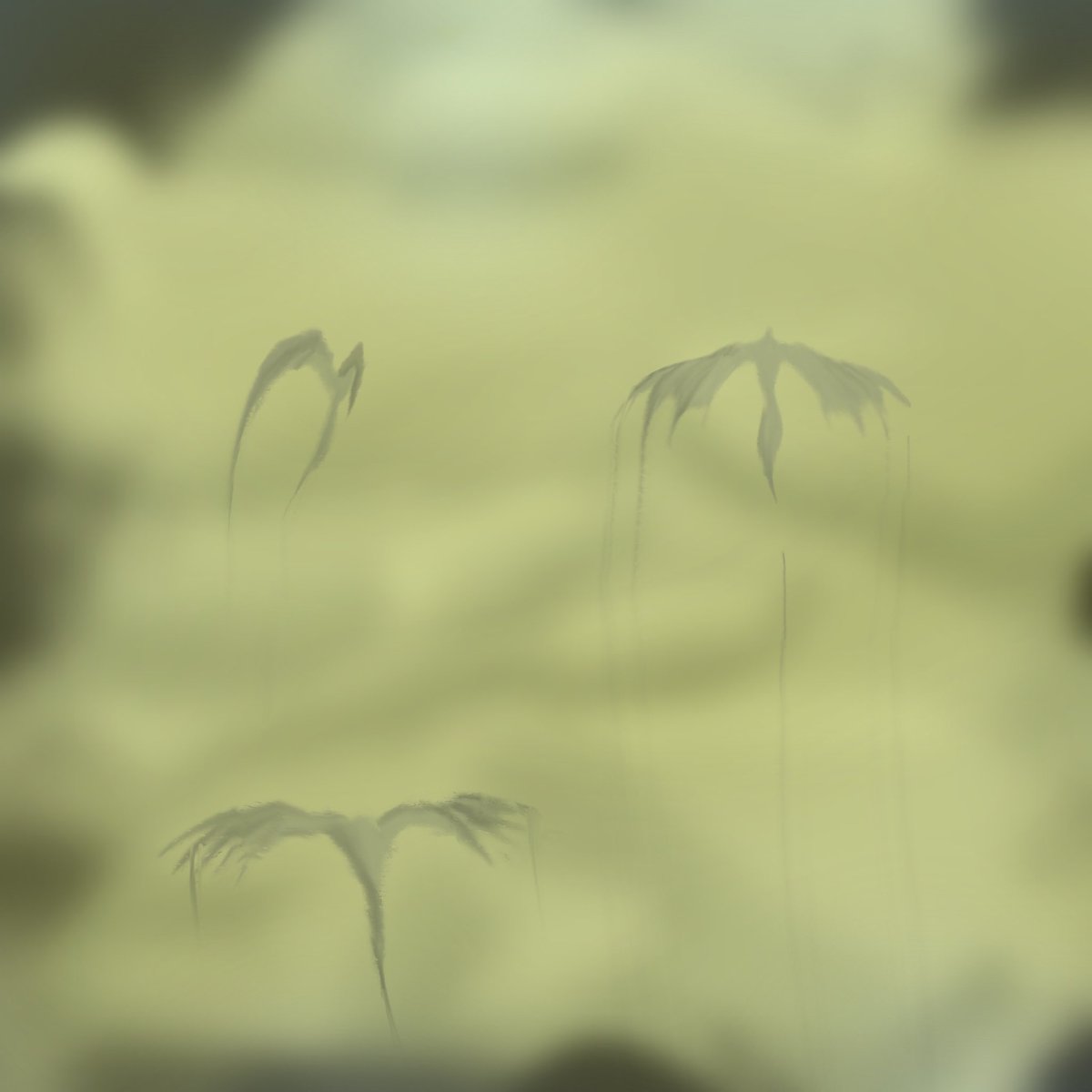 L_Animates_'s tweet photo. “It said when you die a meaningless life you become apart of the dead sky. A sky filled with souls feeding on a poor traveler that wonders to far from their party…” #thenewwave #dragon #art #dnd #dungeonsanddragons https://t.co/MIoxIe0VSC