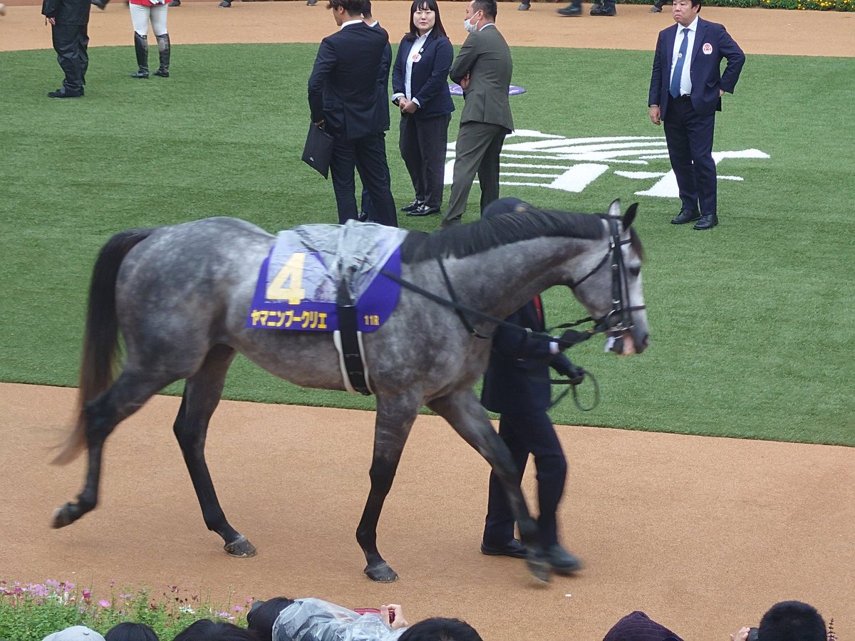 たかこうまさ⟡.* ﾅﾅｺｰｾﾝ! (@ksknkiktad0nln) / Posts / X