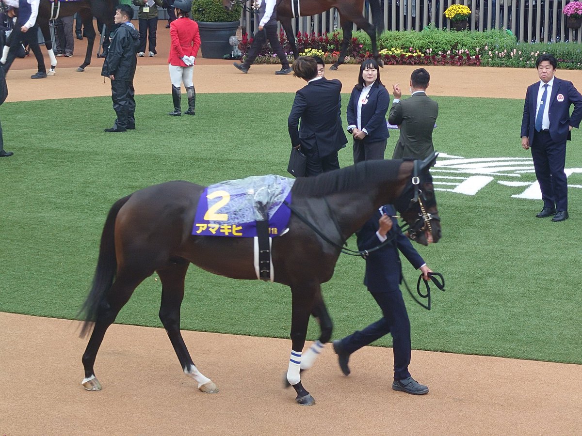 たかこうまさ⟡.* ﾅﾅｺｰｾﾝ! (@ksknkiktad0nln) / Posts / X