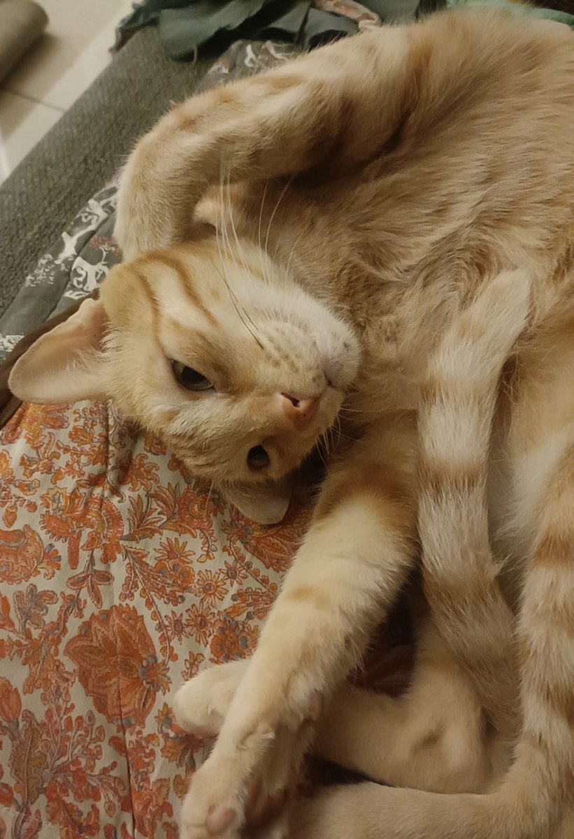 who_nisha's tweet image. We: Slept on one side last night, shoulder and neck are aching now.
Meanwhile #RioVersion 😂😂😂 &amp;lt;Why restrict ourselves within preset geometrical shapes!&amp;gt;