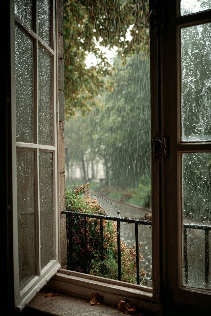 autumn rain.