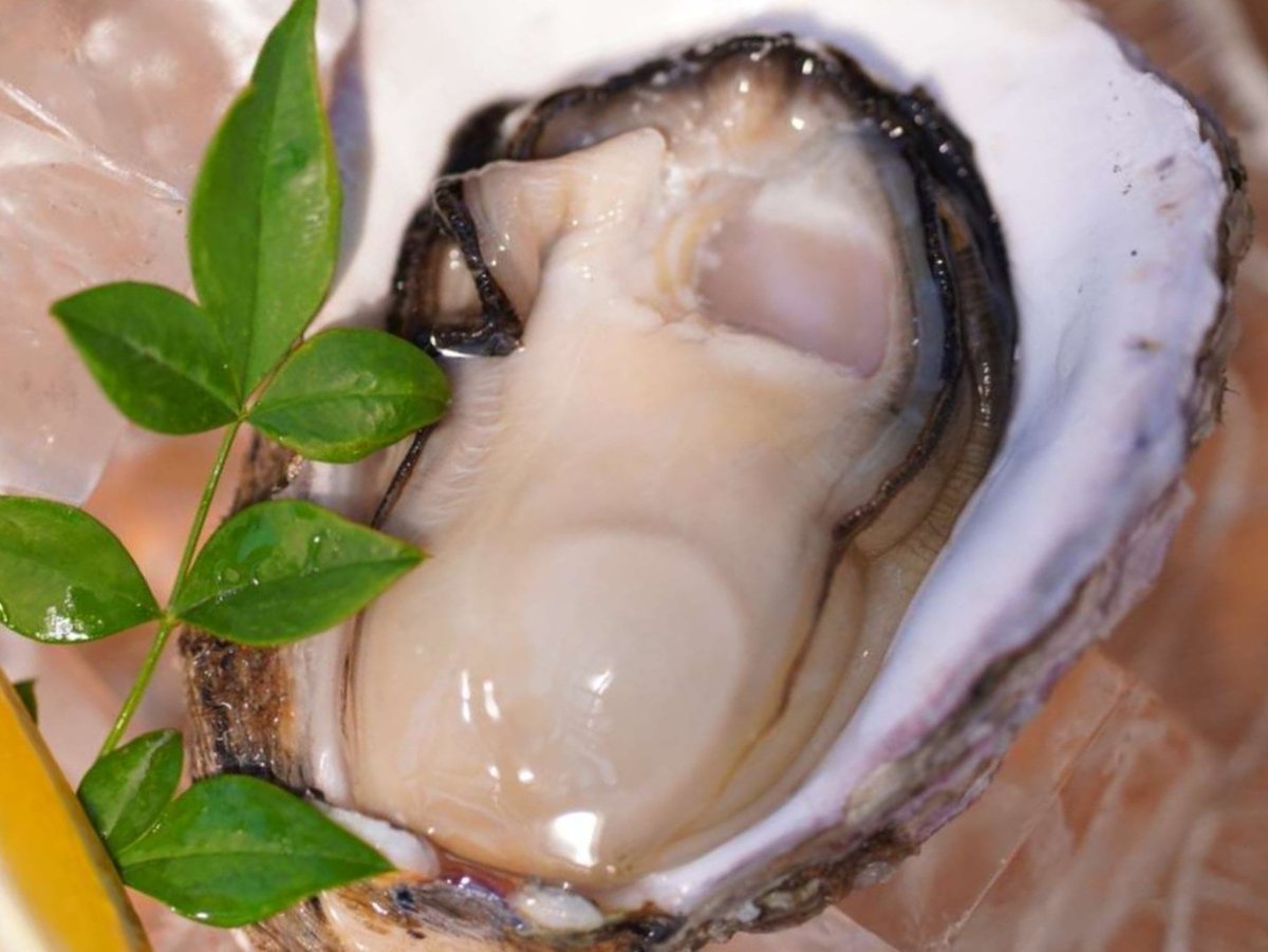 やっと人間になれた生牡蠣