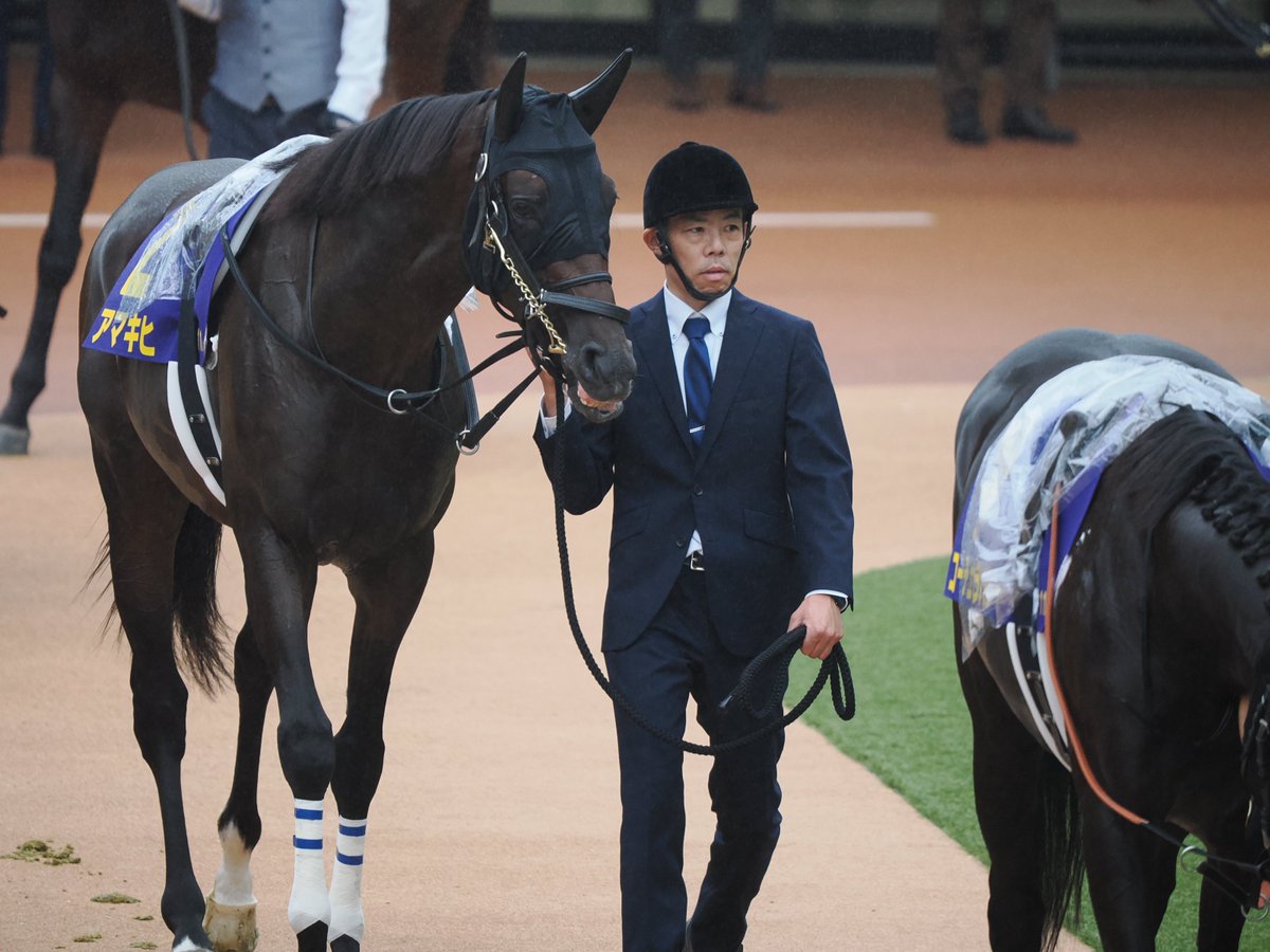 ニッポリヒト Demo5 maxresdefault.jpg?sqp=-