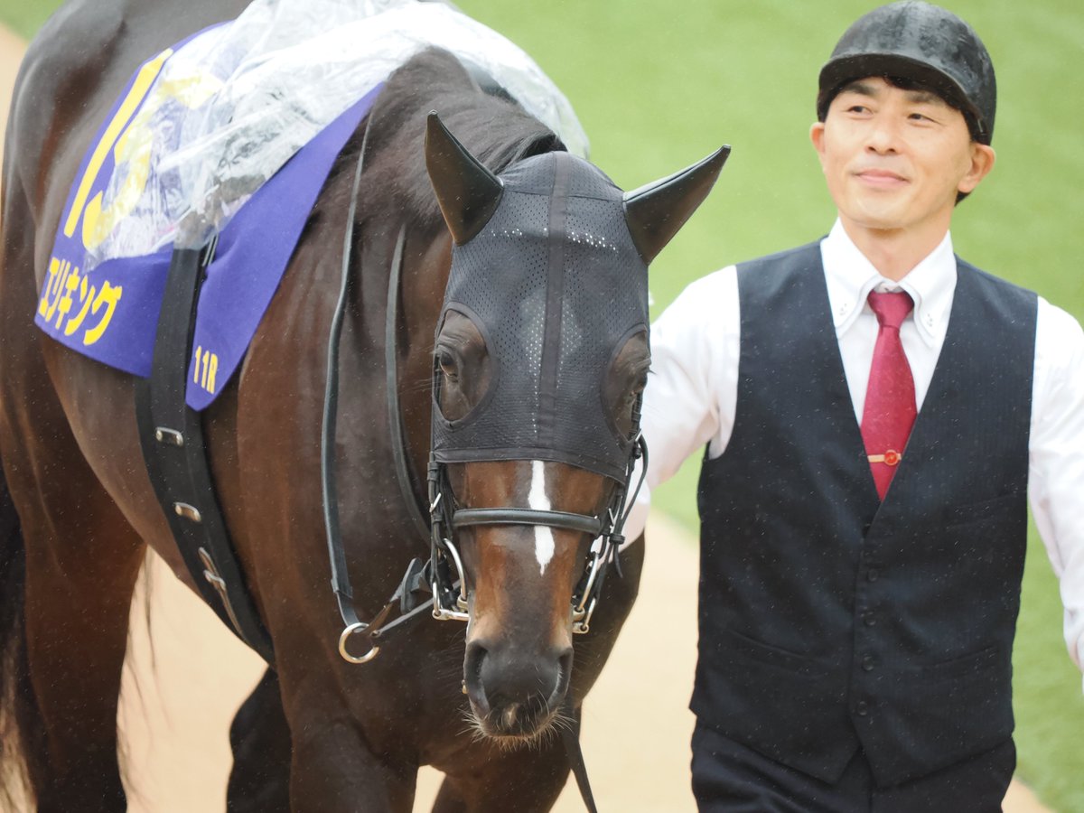 ニッポリヒト Demo5 maxresdefault.jpg?sqp=-