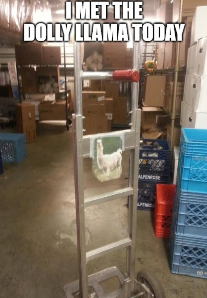 FNovelsO's tweet image. ☕𝐅𝐄𝐀𝐓𝐔𝐑𝐄𝐃 𝐏𝐎𝐒𝐓☕️

WordPlay Pot 44 (Meme/Pic Dump)

Tuesday Doesn&apos;t Come After Onesday #203

freenovelsonline.top/2025/10/wordpl…

#freenovelsonline #TuesdayDoesntComeAfterOnesday #puns #funnypuns #witty #wordplay