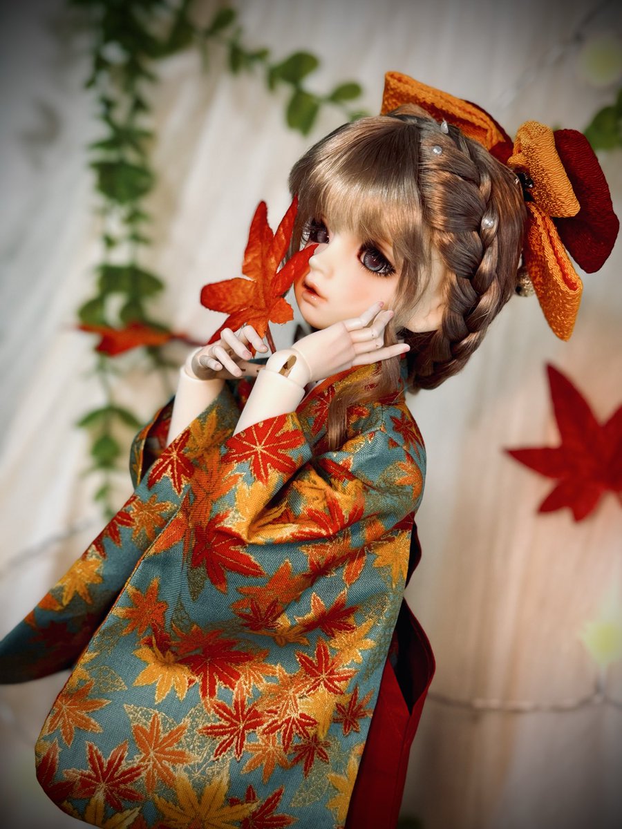 羅紗MSD.SDM.MDD 紅葉柄振袖着物袴セット